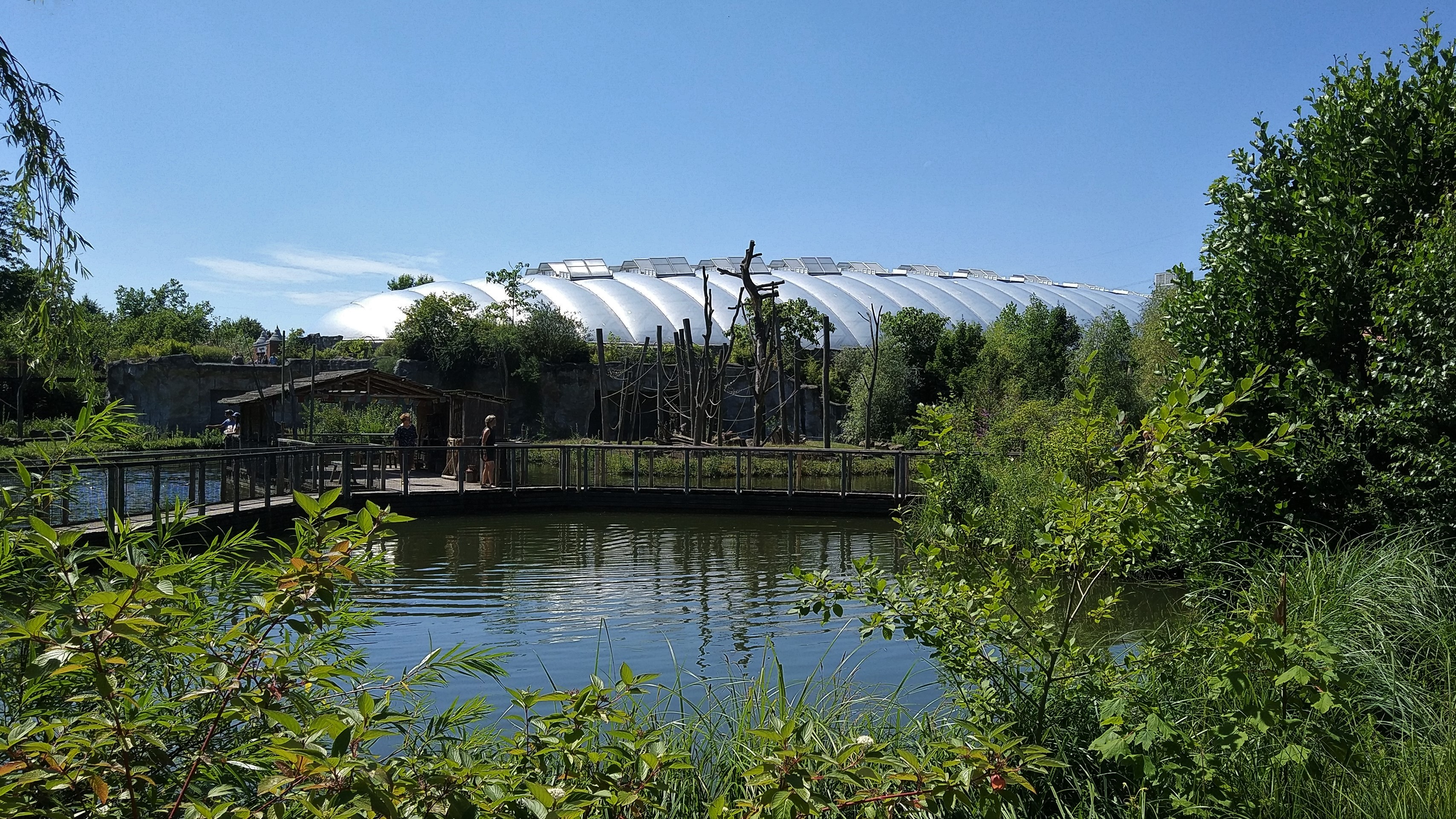 Orangutan/Rainforest Building