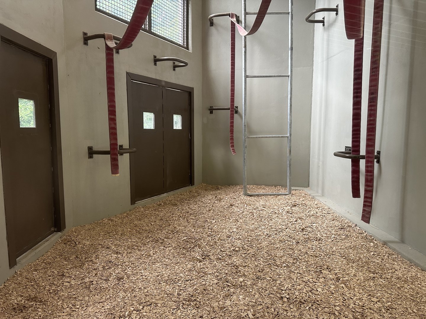 Orangutan Research/Dayroom