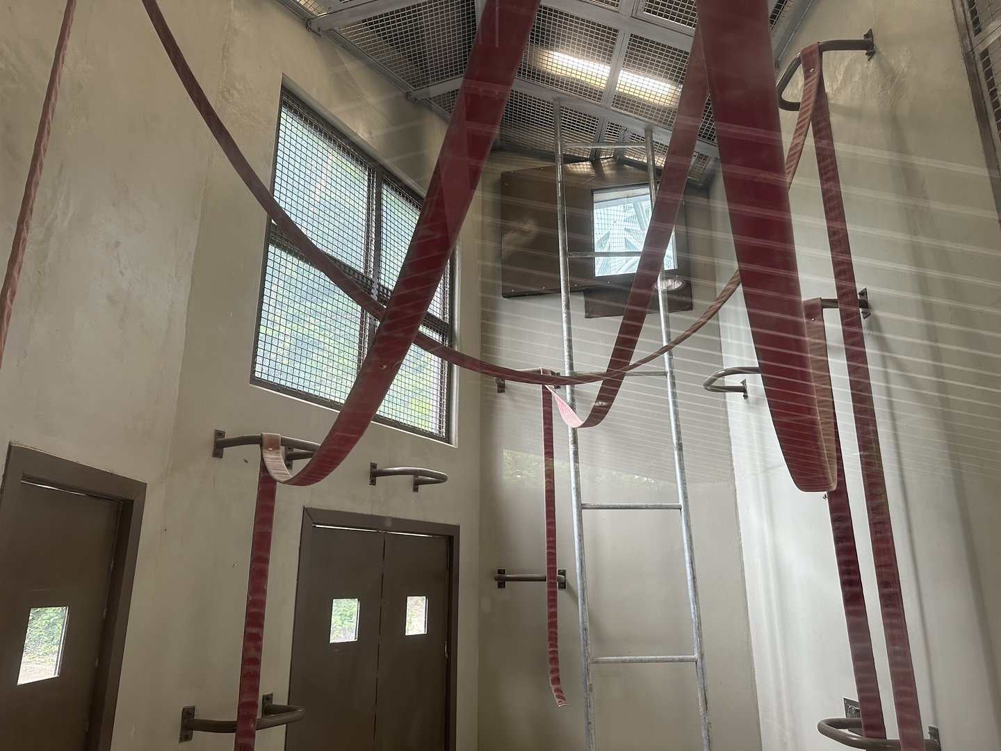 Orangutan Research/Dayroom