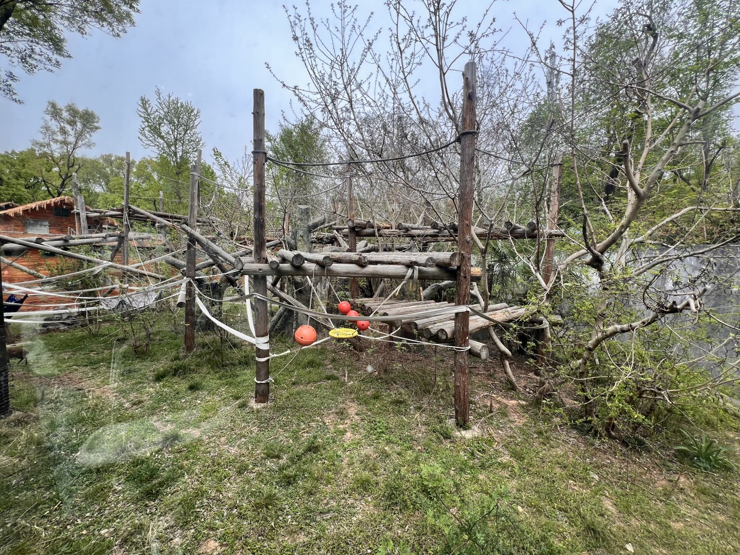 Orangutan Secondary Exhibit