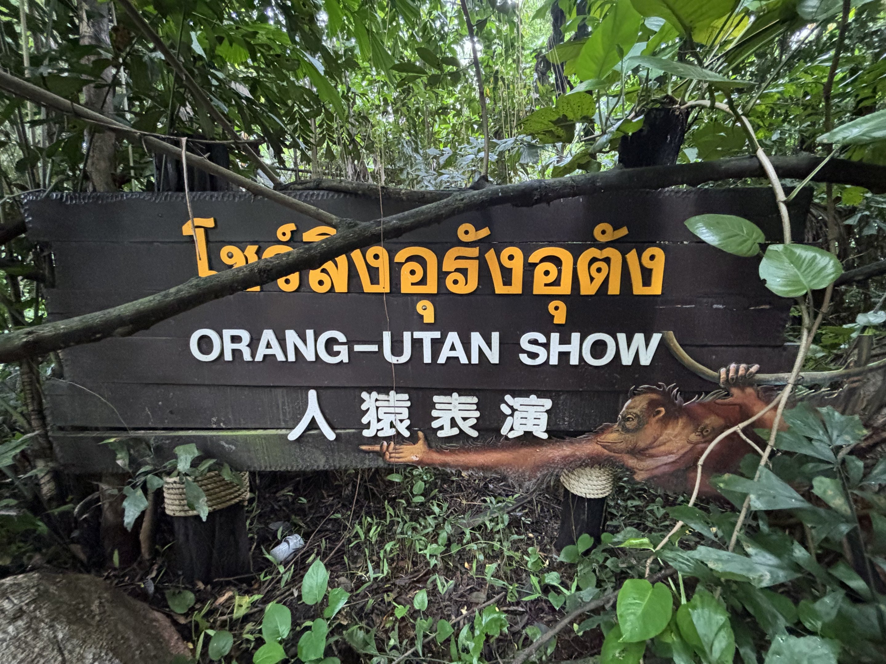 Orangutan Show Sign