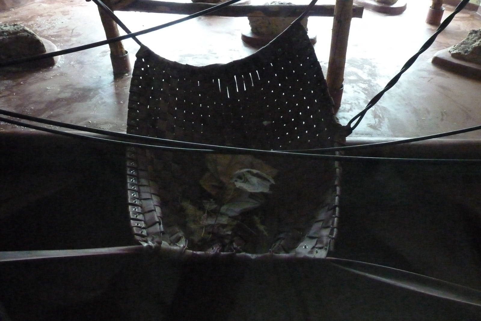 Orangutan showden, April 2016