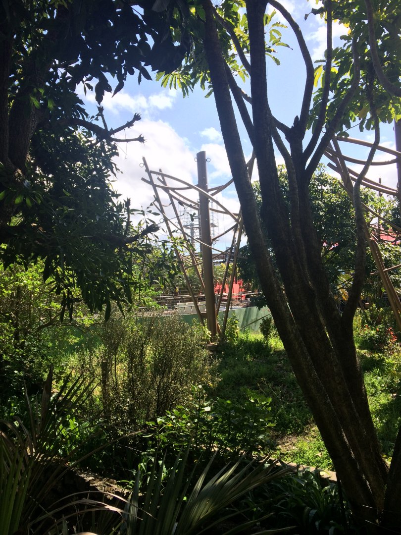 Orangutan & Siamang Exhibit 2