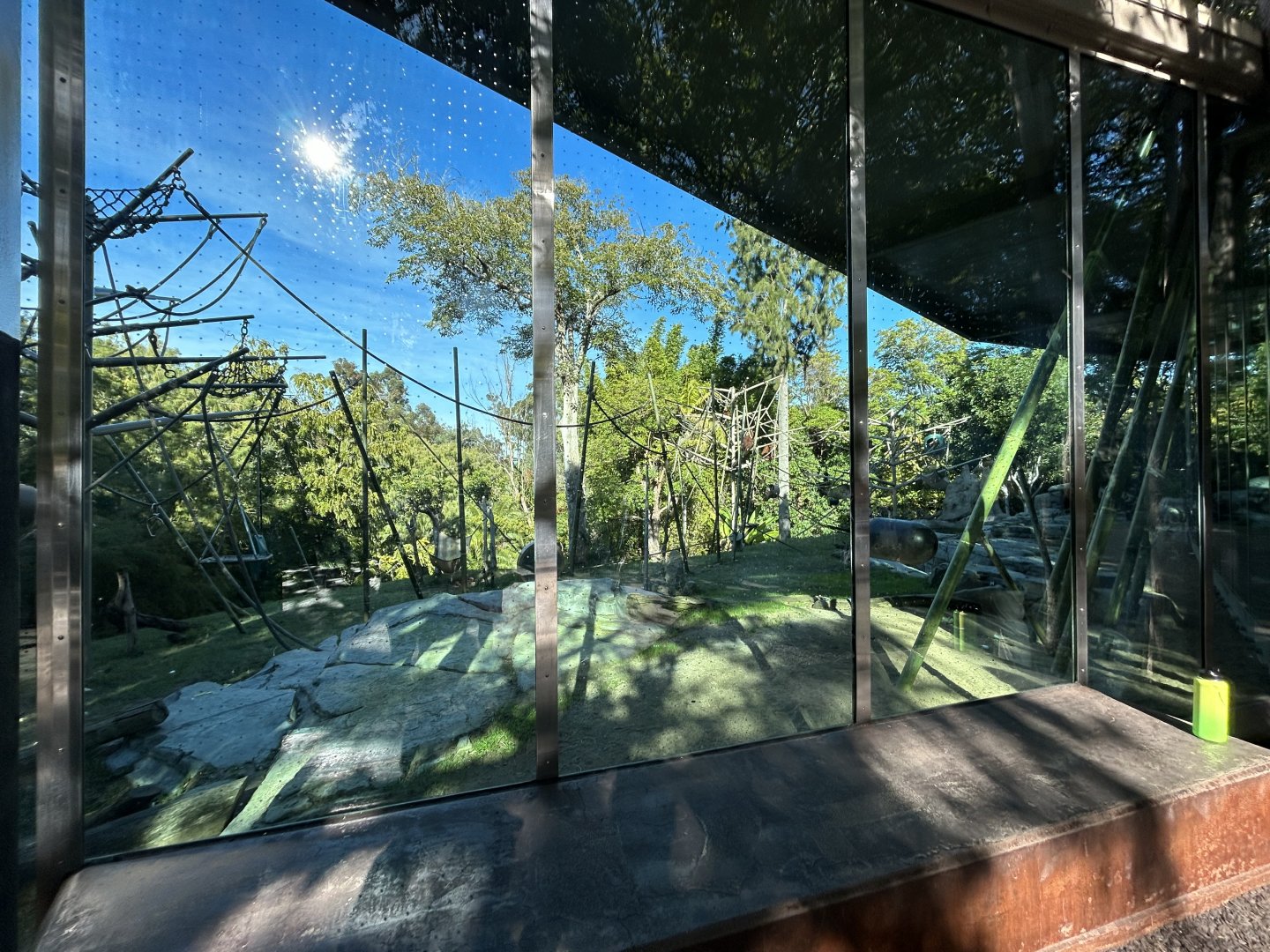 Orangutan & Siamang Exhibit - Absolutely Apes