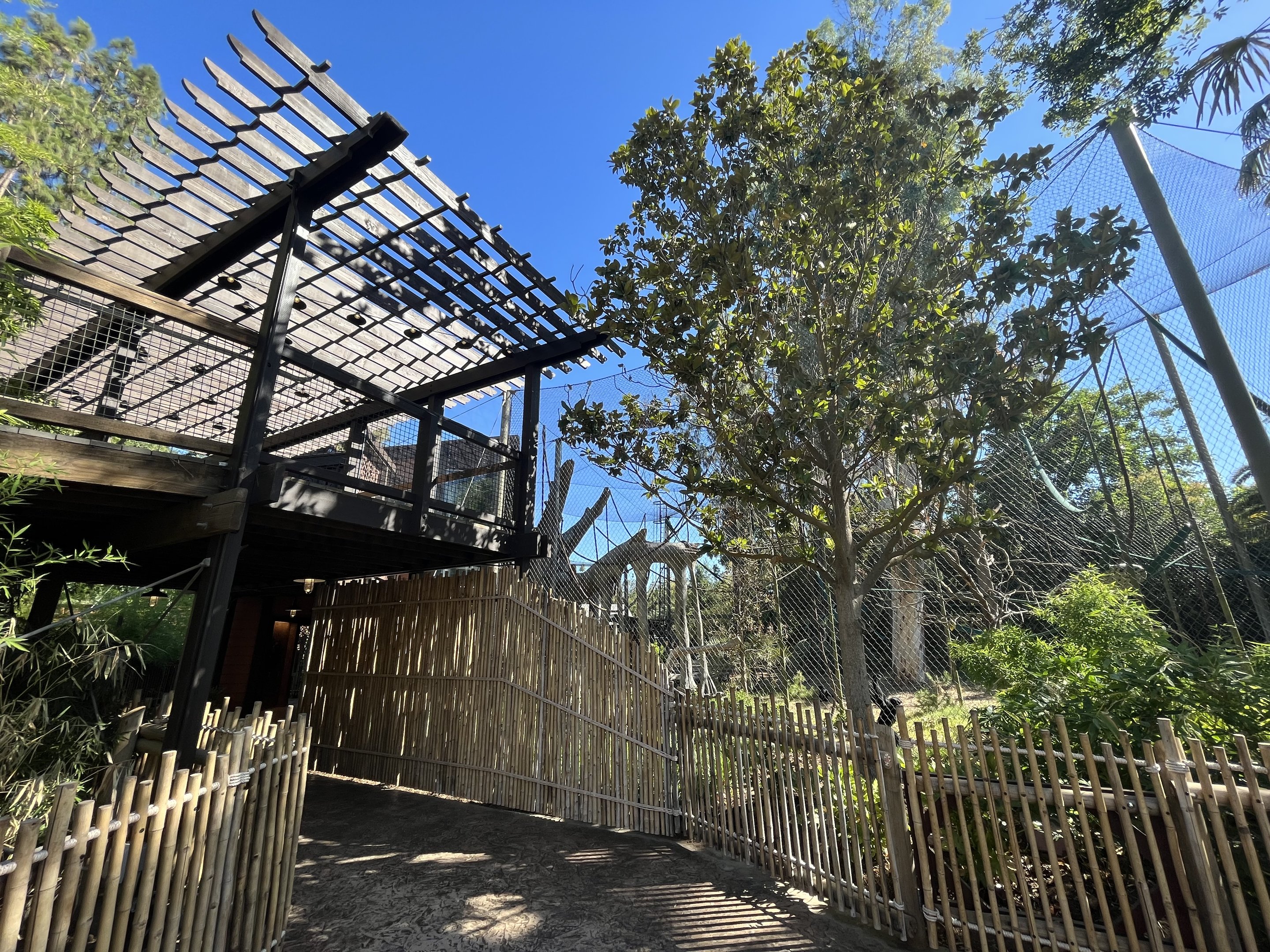 Orangutan/Siamang Exhibit - Renovated in 2023
