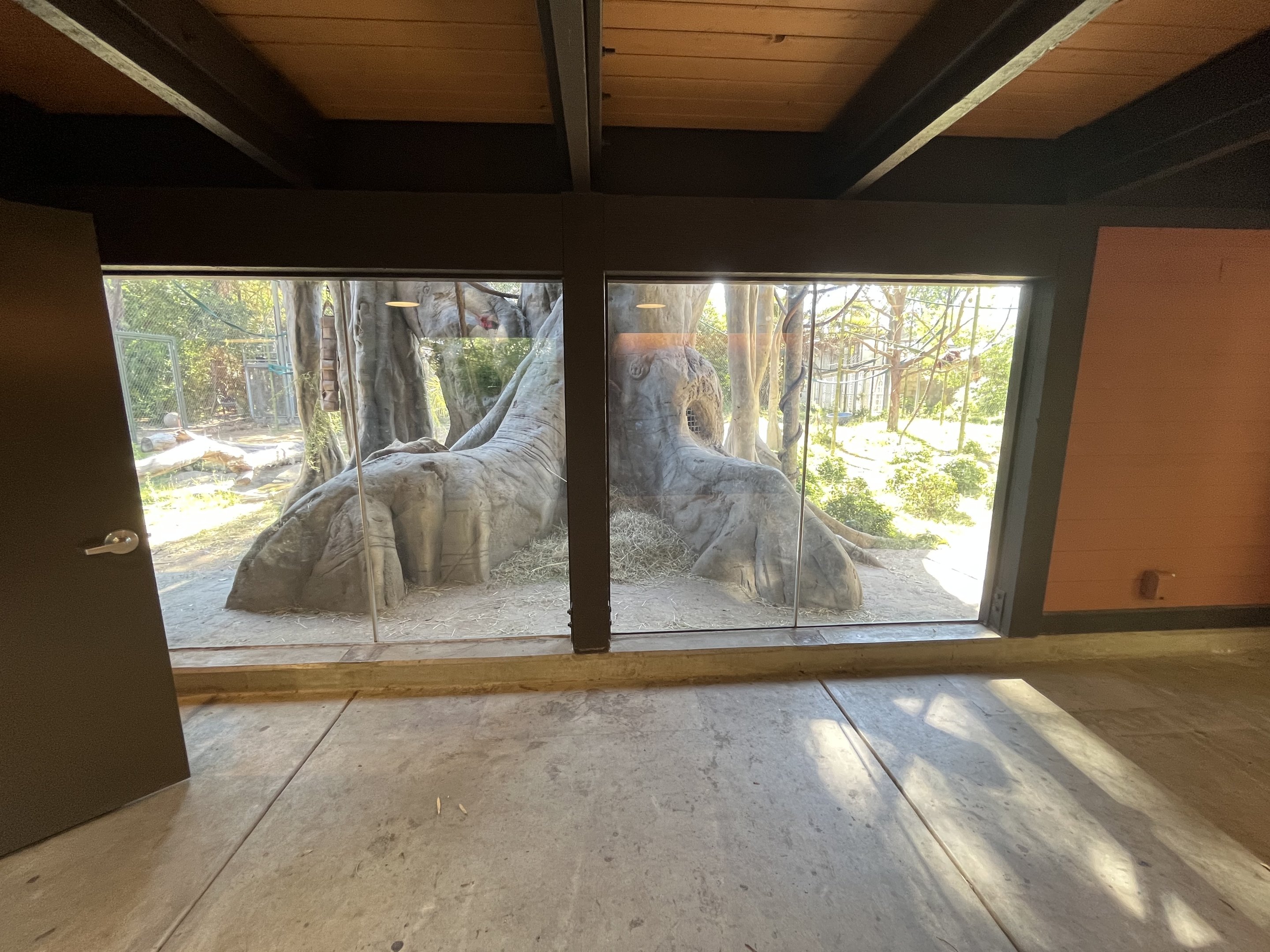 Orangutan/Siamang Exhibit - Renovated in 2023