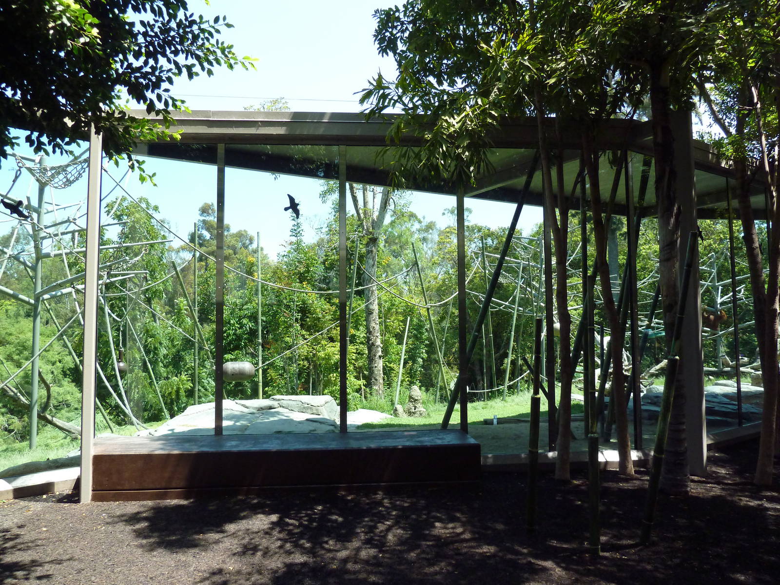Orangutan/Siamang Exhibit