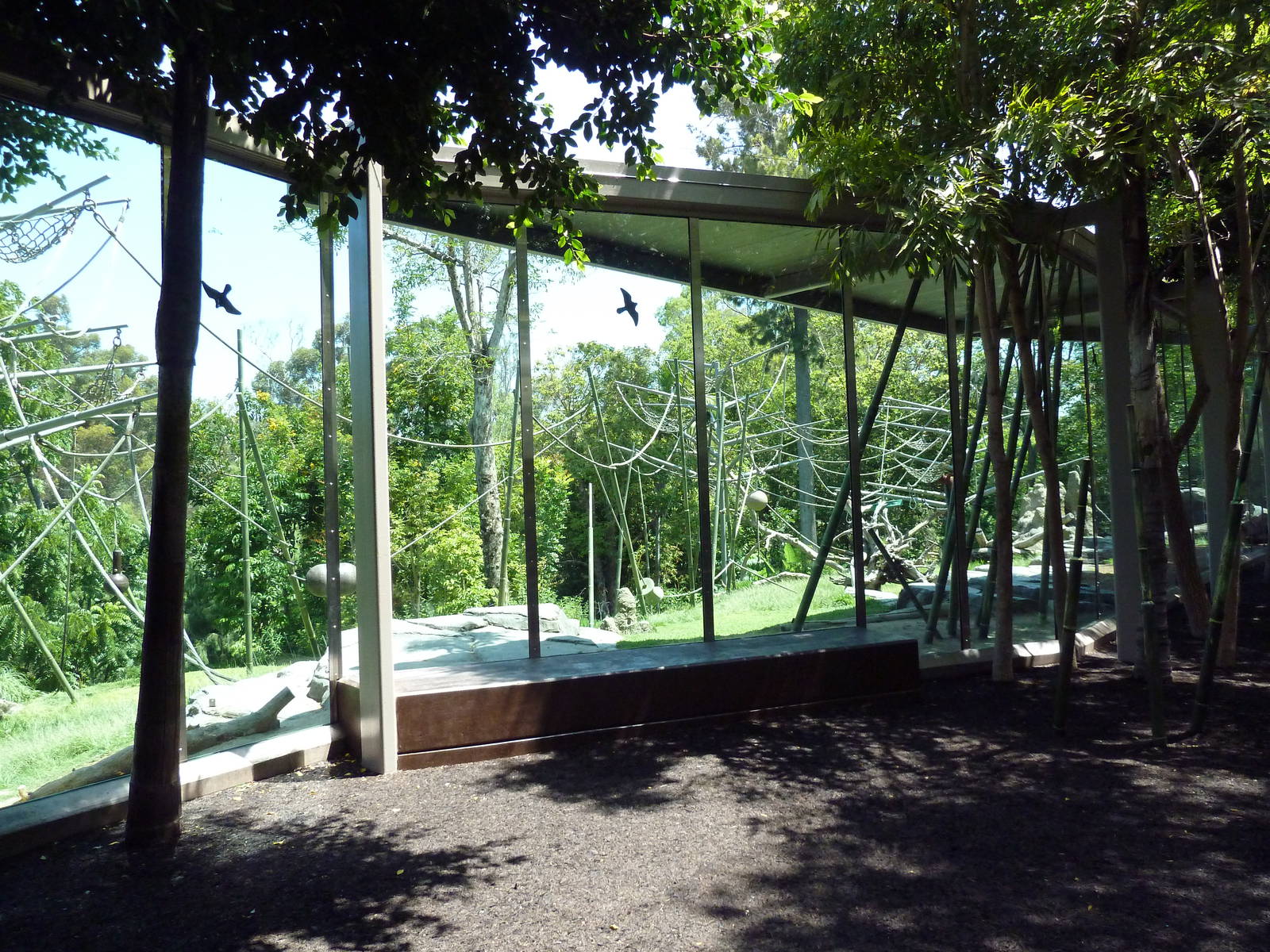 Orangutan/Siamang Exhibit