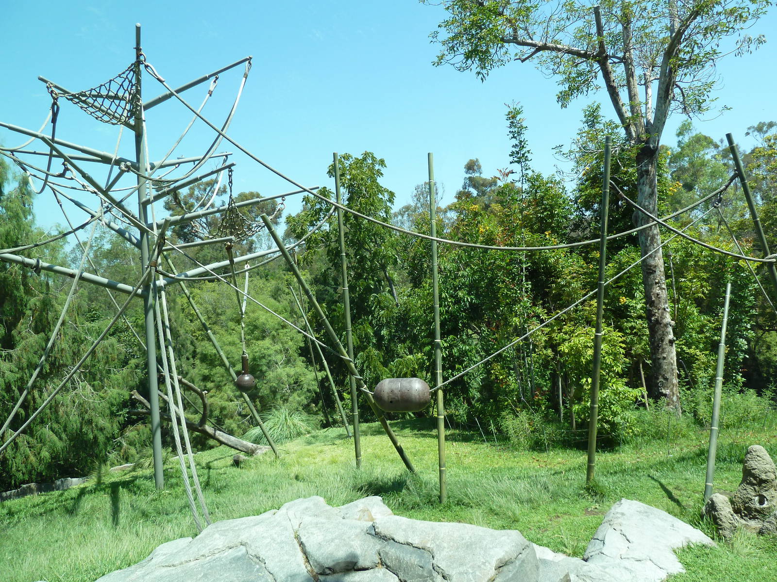 Orangutan/Siamang Exhibit