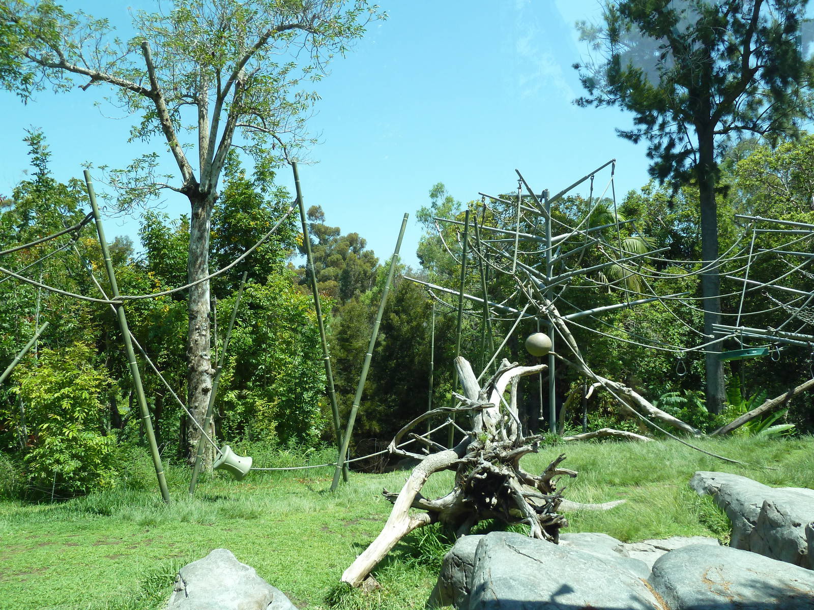 Orangutan/Siamang Exhibit