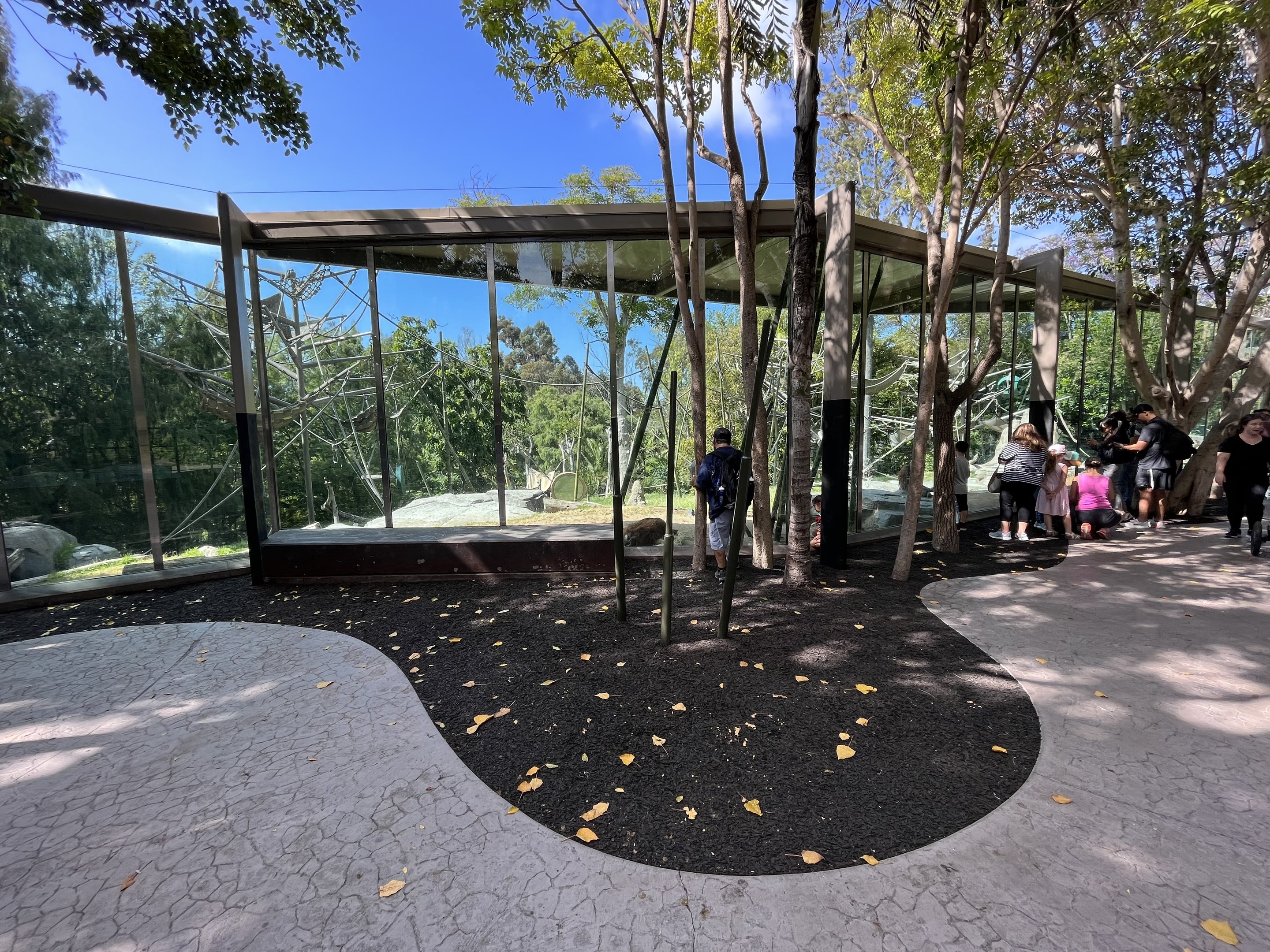 Orangutan/Siamang Exhibit