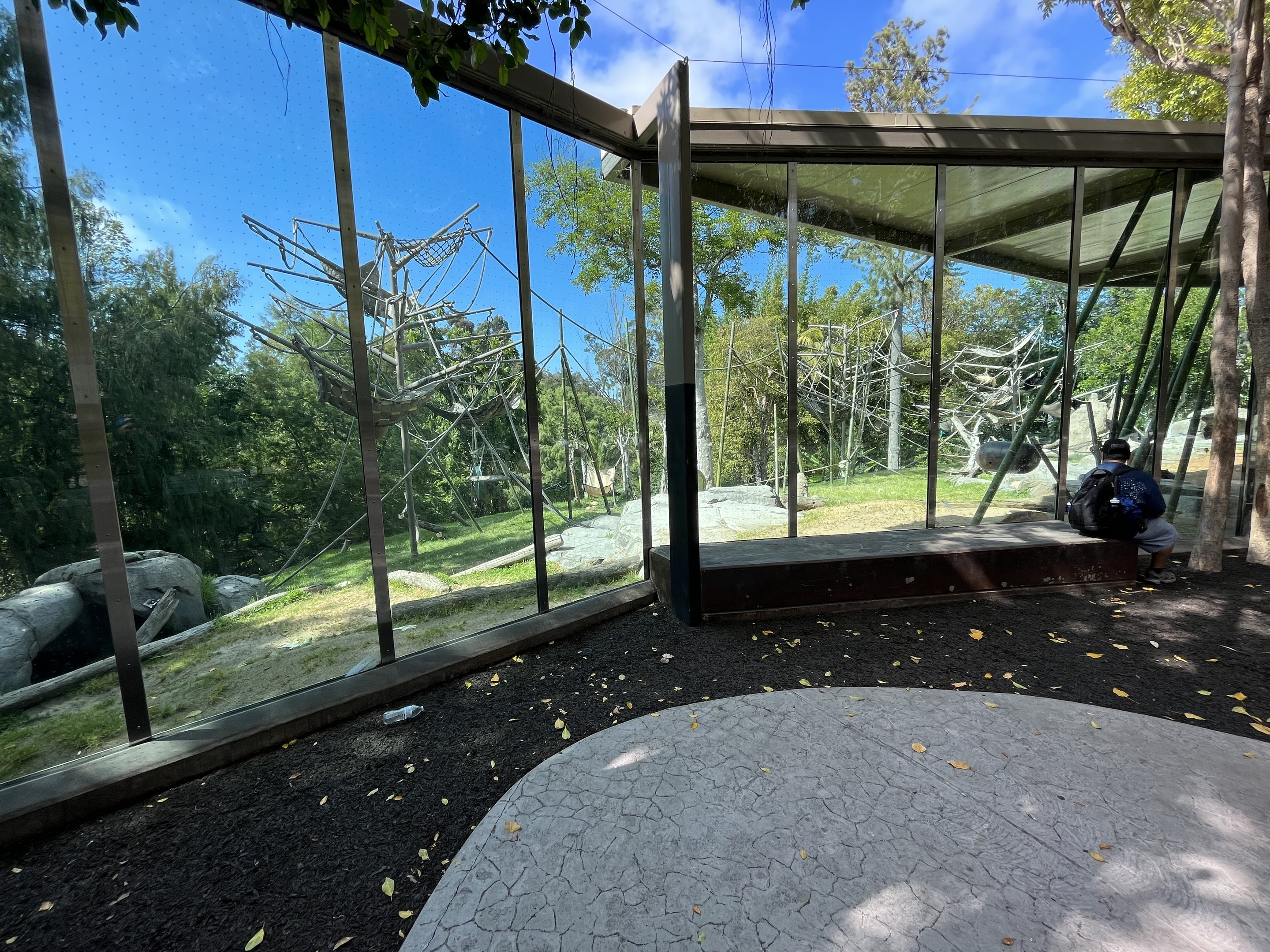 Orangutan/Siamang Exhibit