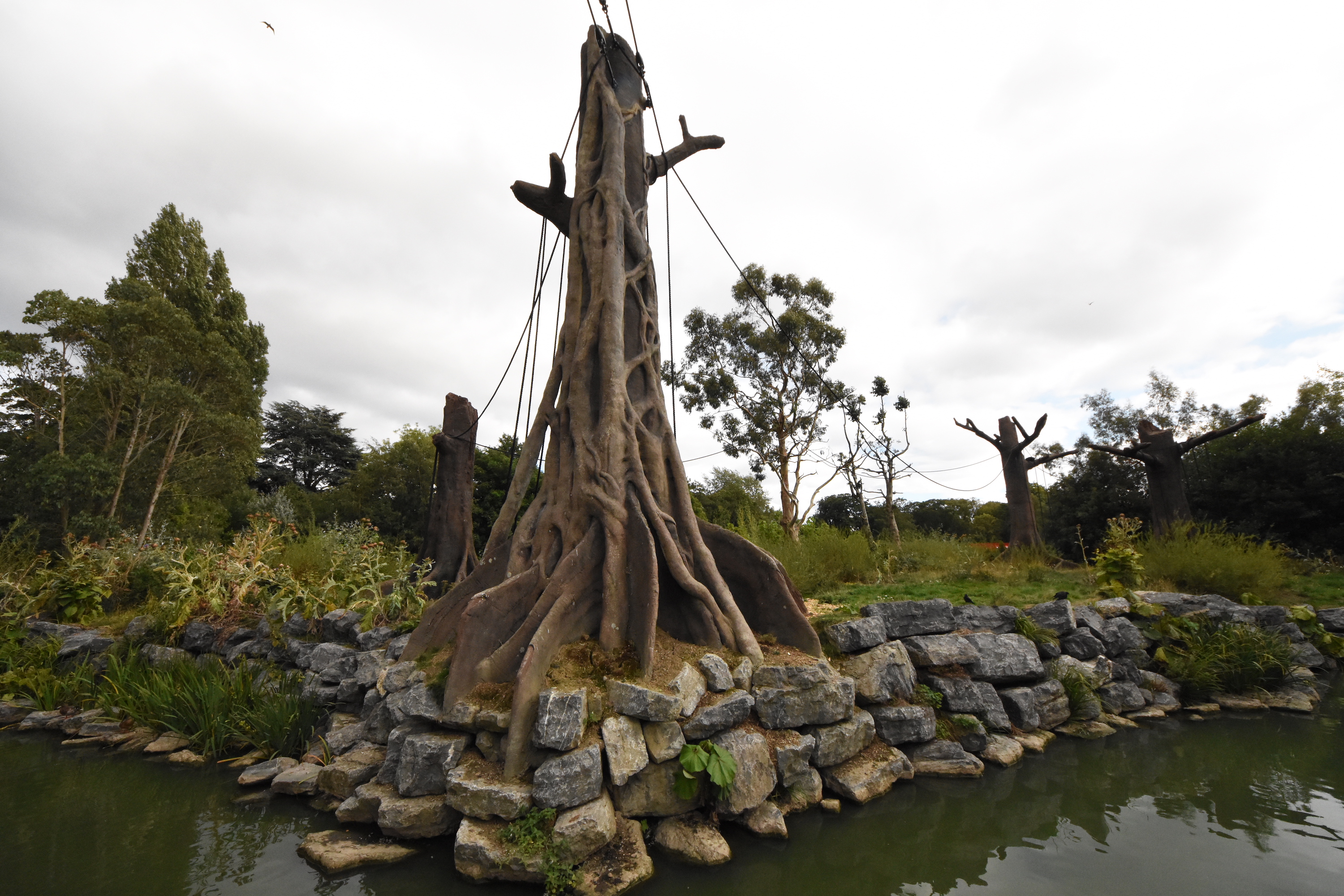 Orangutan & Siamang outdoor enclosure