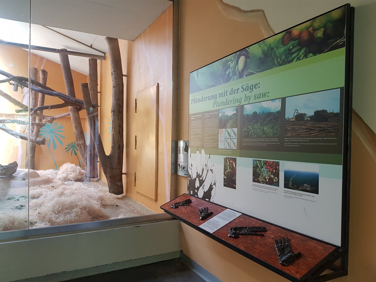 Orangutan Signage, Monkey World