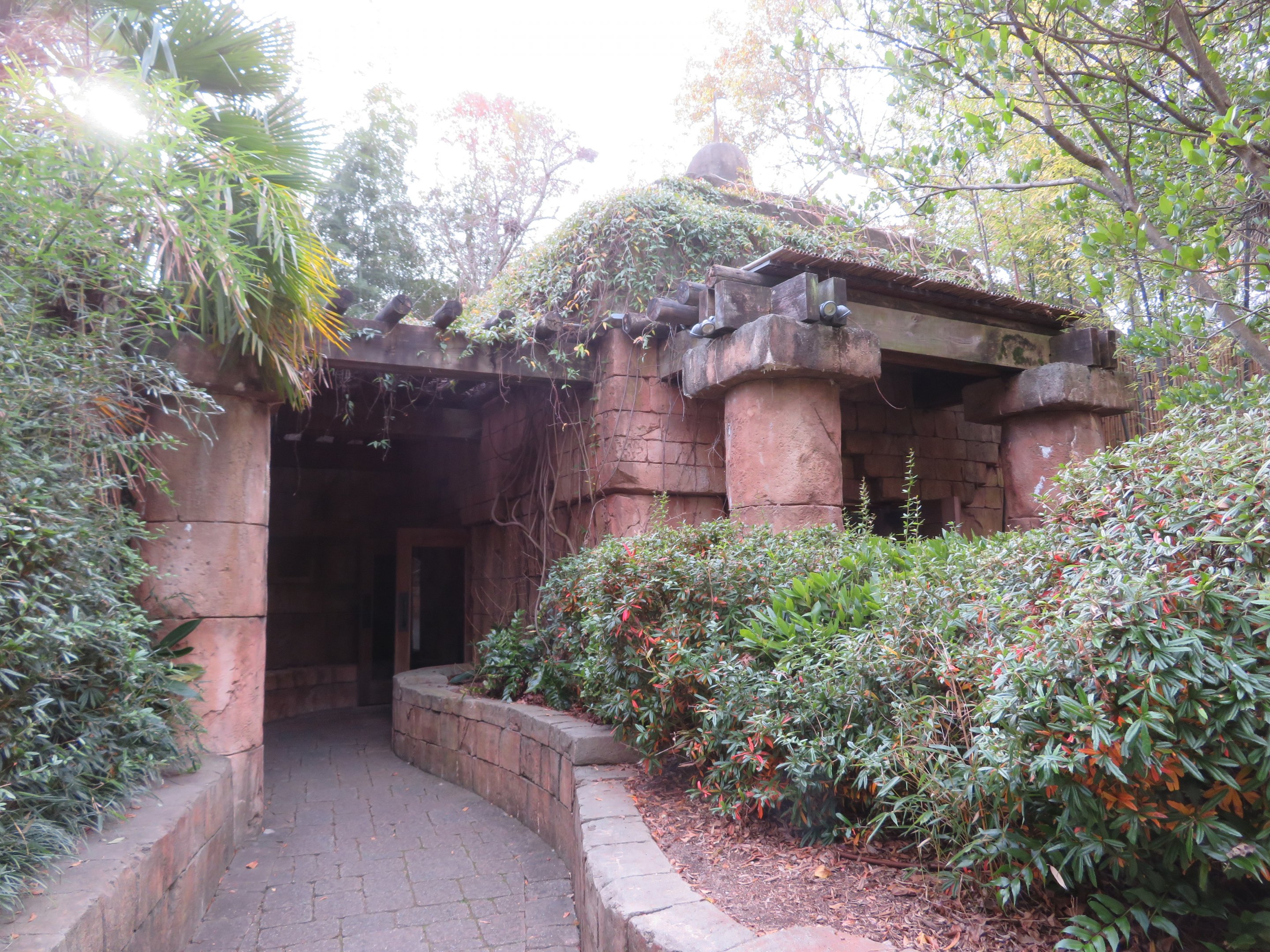 Orangutan Viewing Shelter