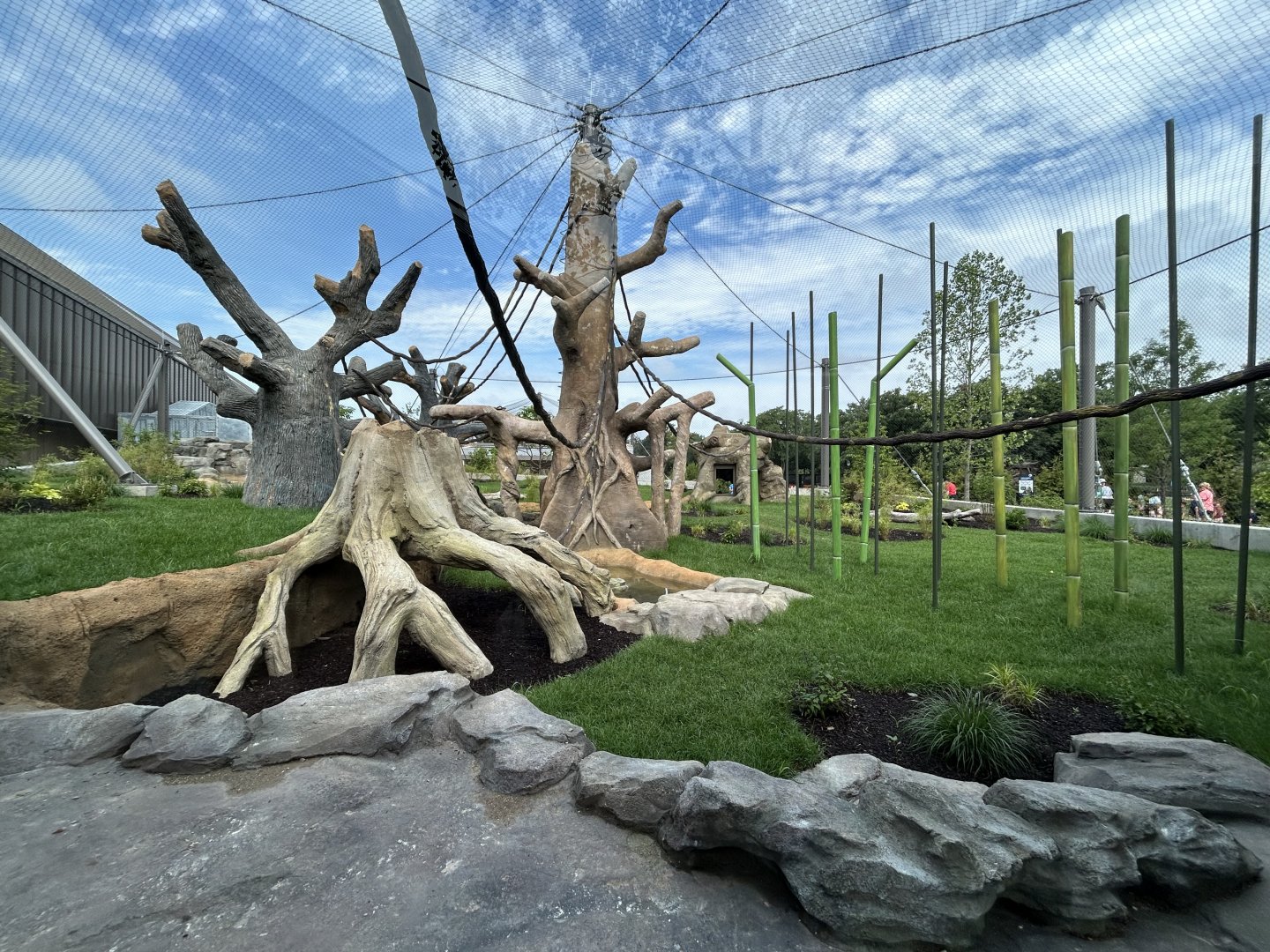 Orangutan & White-cheeked Gibbon Exhibit - Tropical Forests