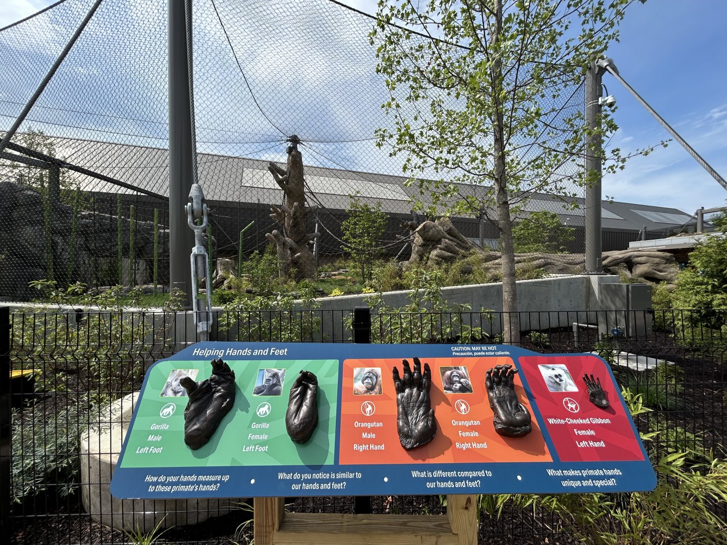 Orangutan & White-cheeked Gibbon Exhibit - Tropical Forests