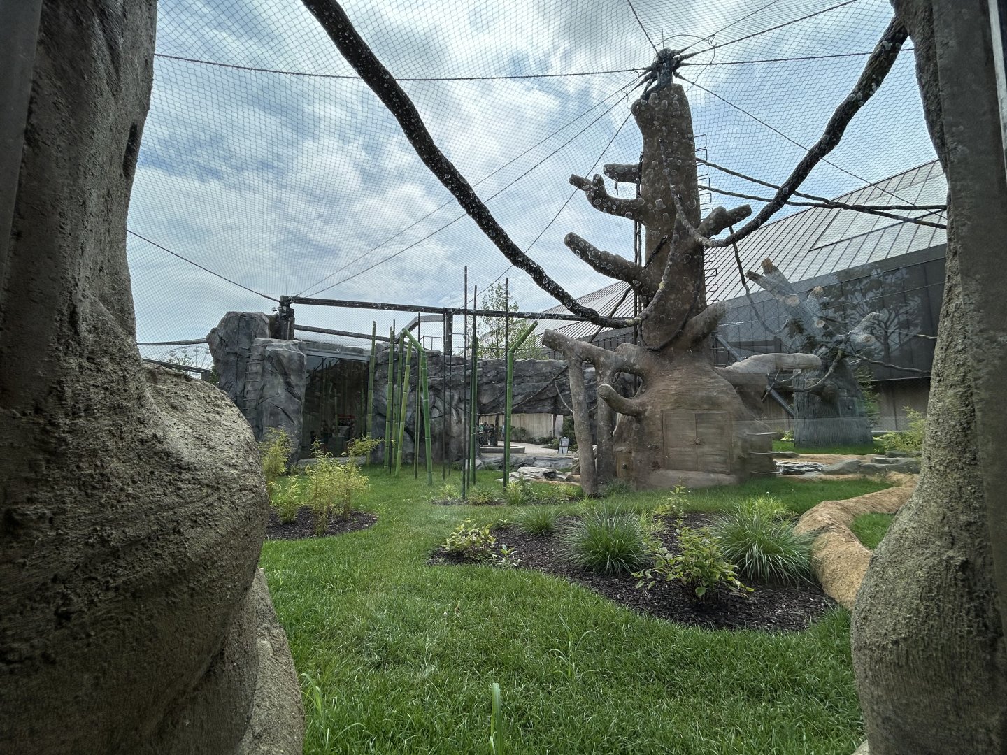Orangutan & White-cheeked Gibbon Exhibit - Tropical Forests