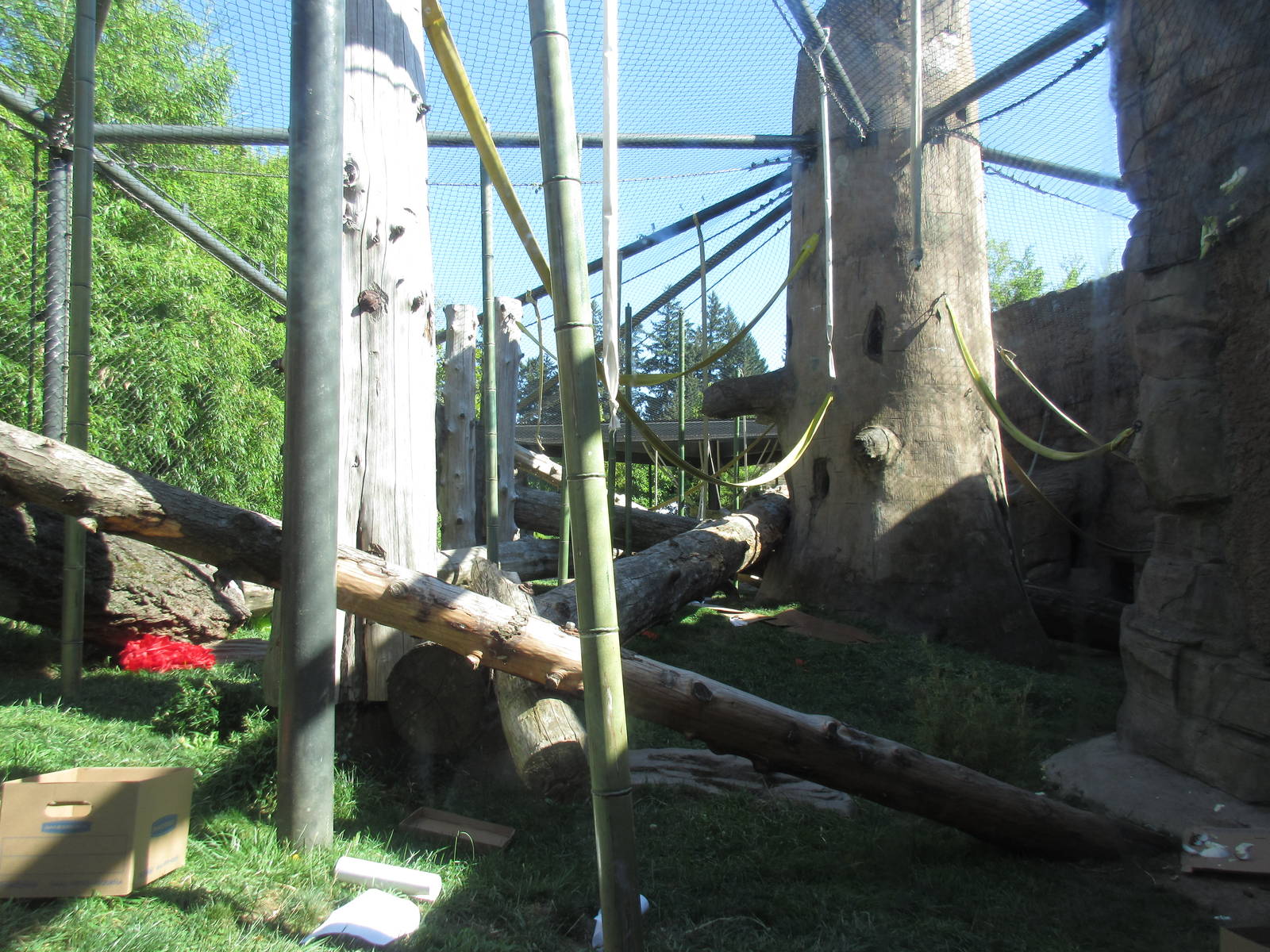 Orangutan/White-Cheeked Gibbon Exhibit