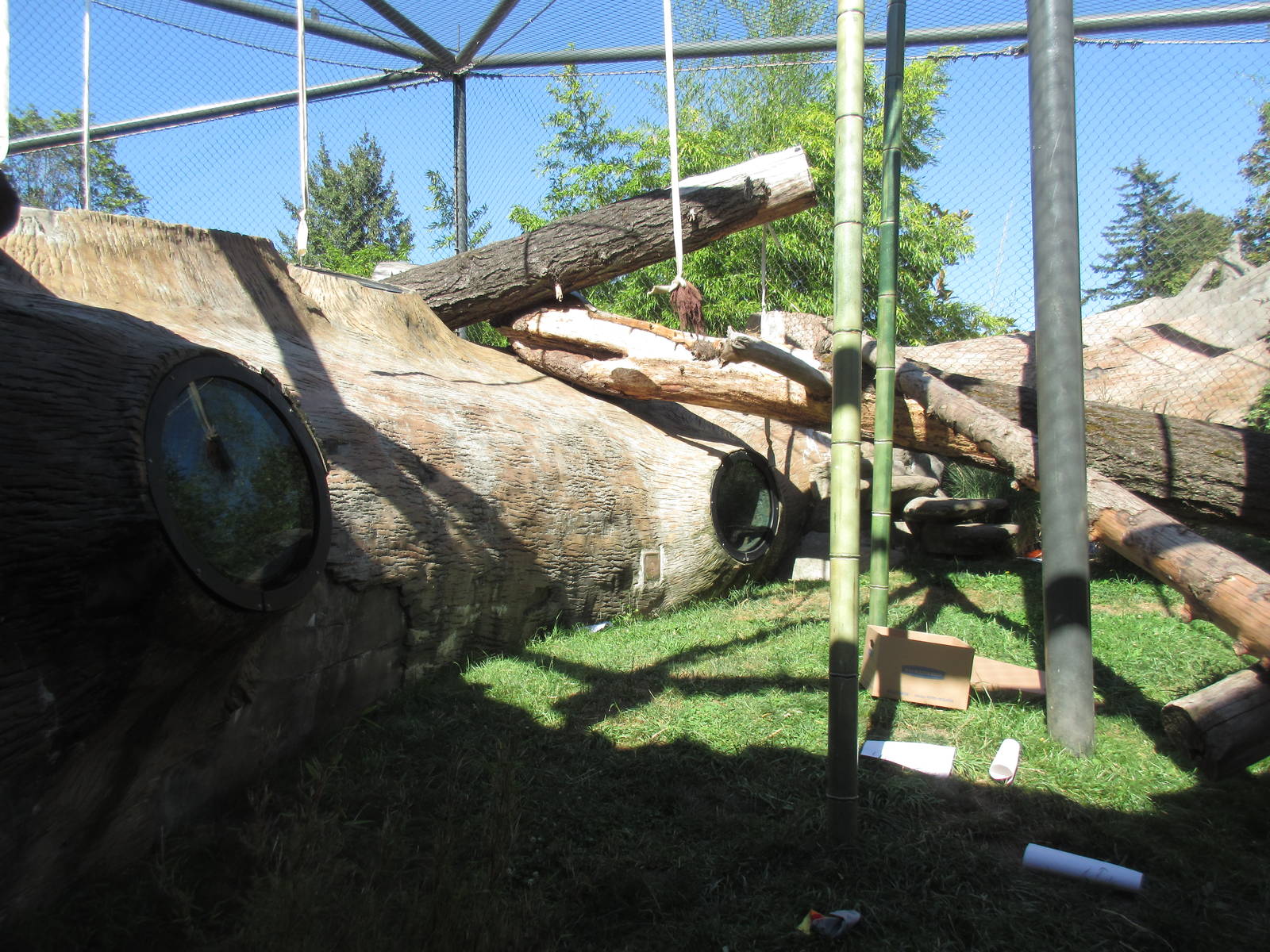 Orangutan/White-Cheeked Gibbon Exhibit