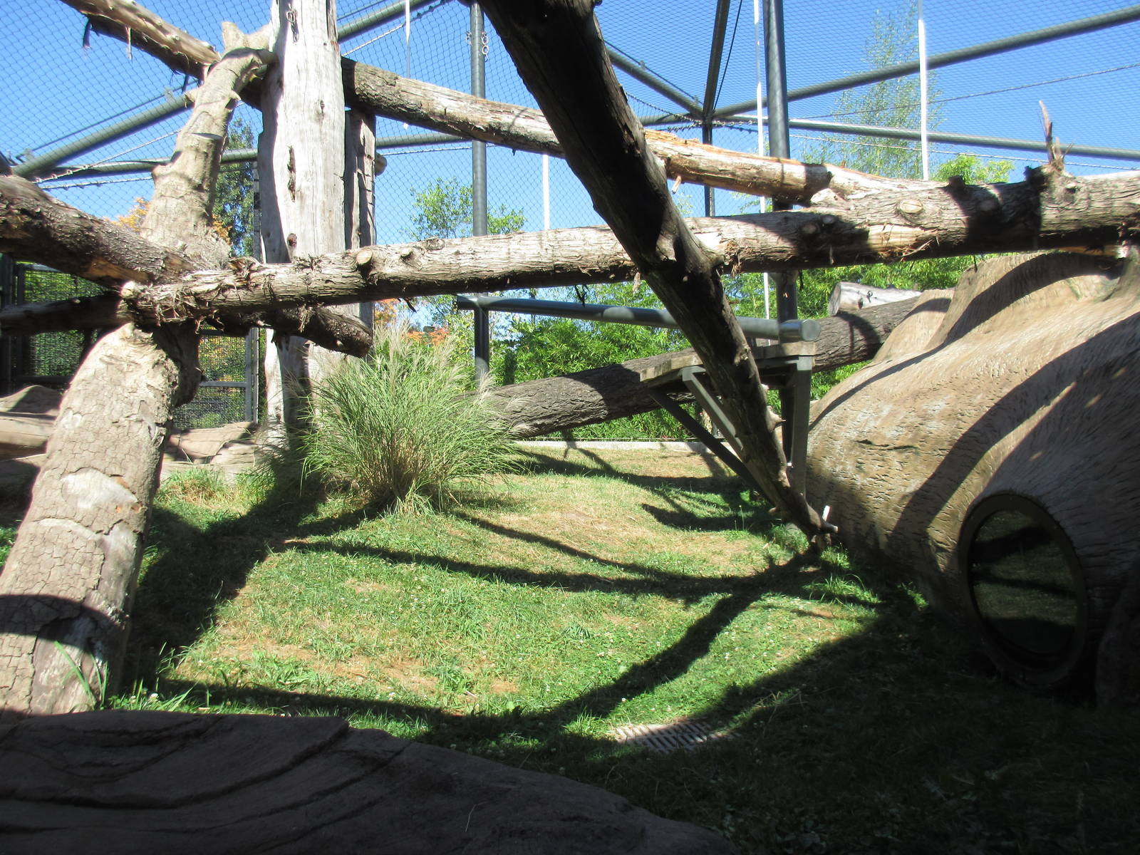 Orangutan/White-Cheeked Gibbon Exhibit
