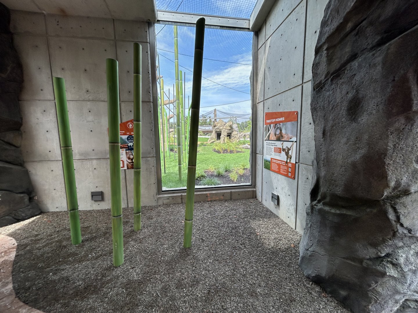 Orangutan & White-cheeked Gibbon Viewing - Tropical Forests