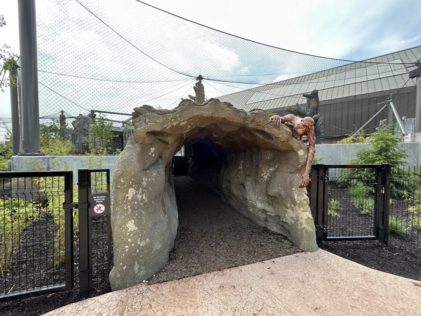 Orangutan & White-cheeked Gibbon Viewing Tunnel - Tropical Forests