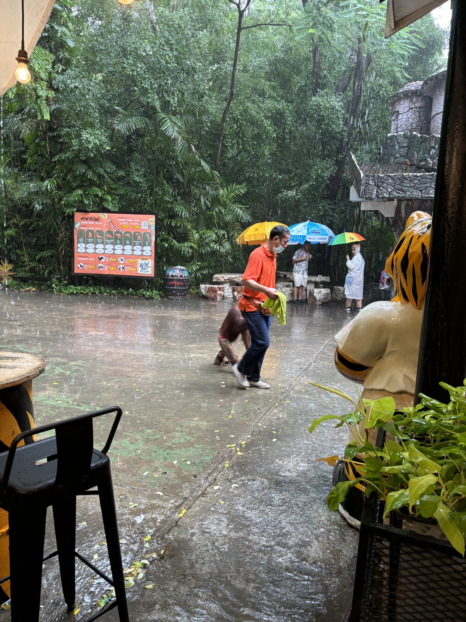 Orangutan with pants!