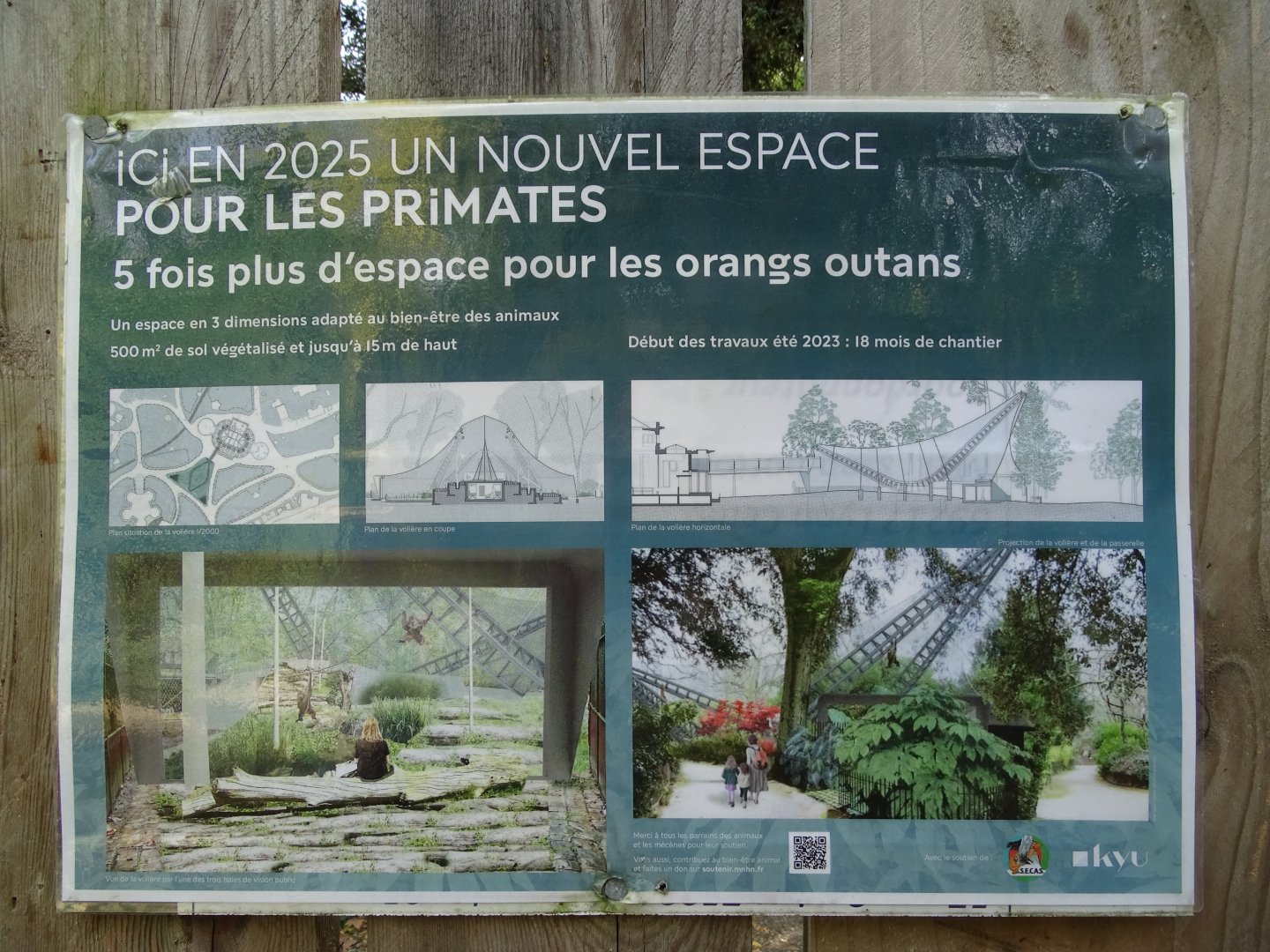 Orangutans future exhibit