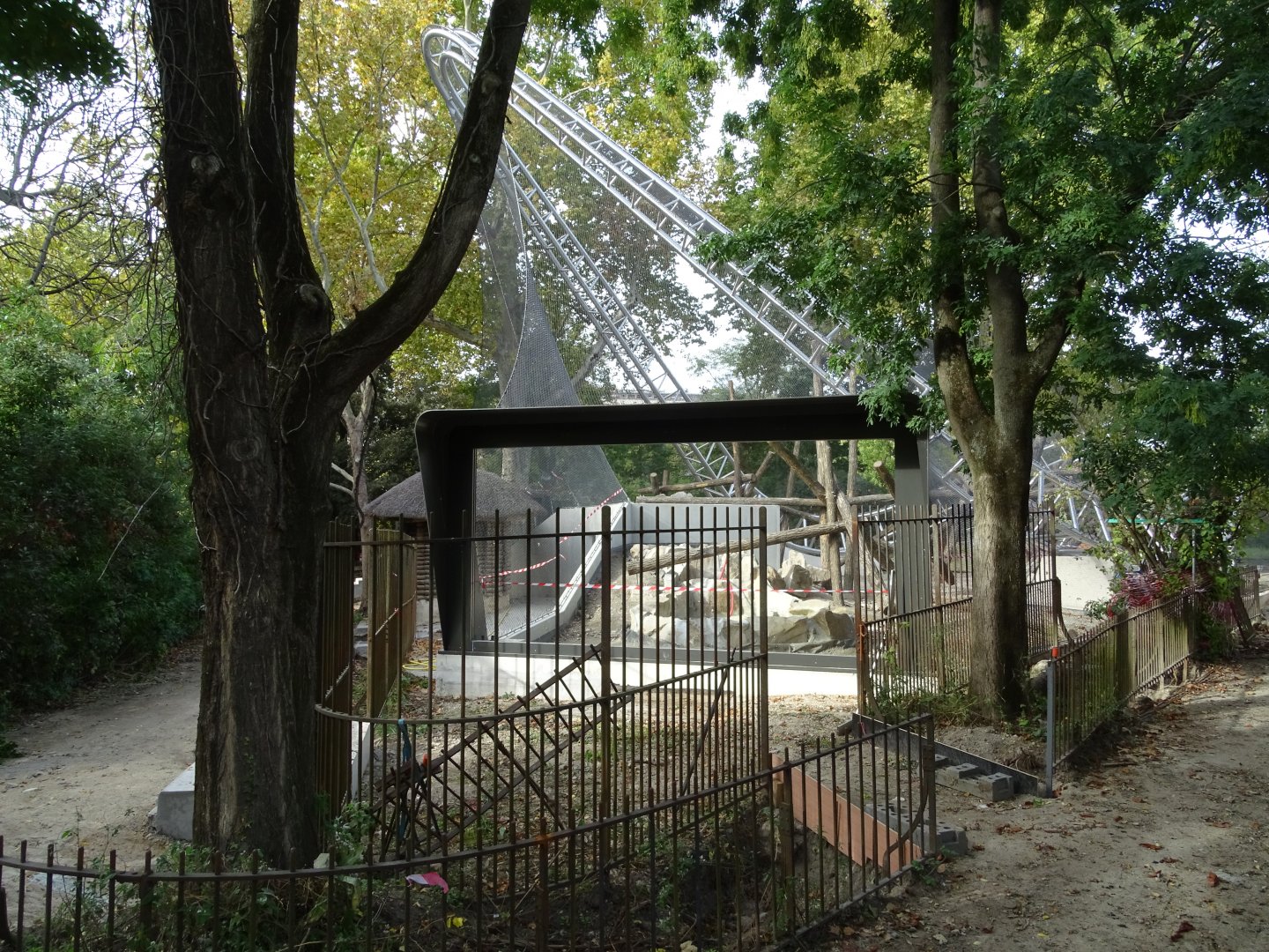 Orangutans future exhibit