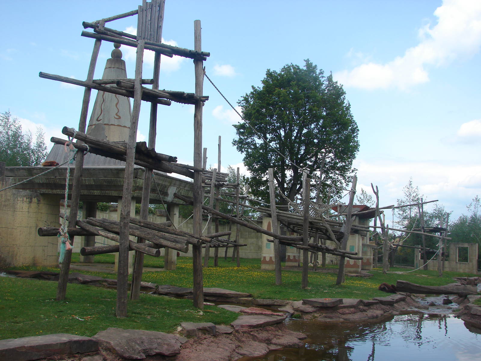 Orangutans, gibbons and otters island