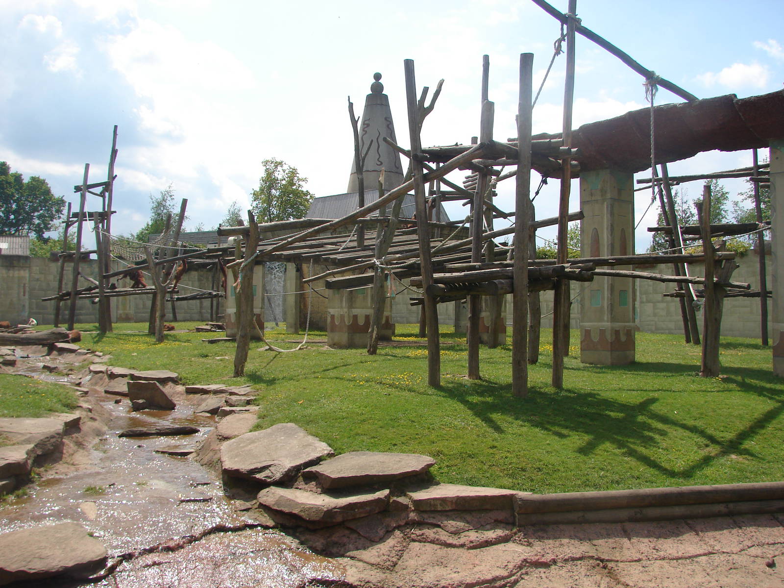 Orangutans, gibbons and otters island