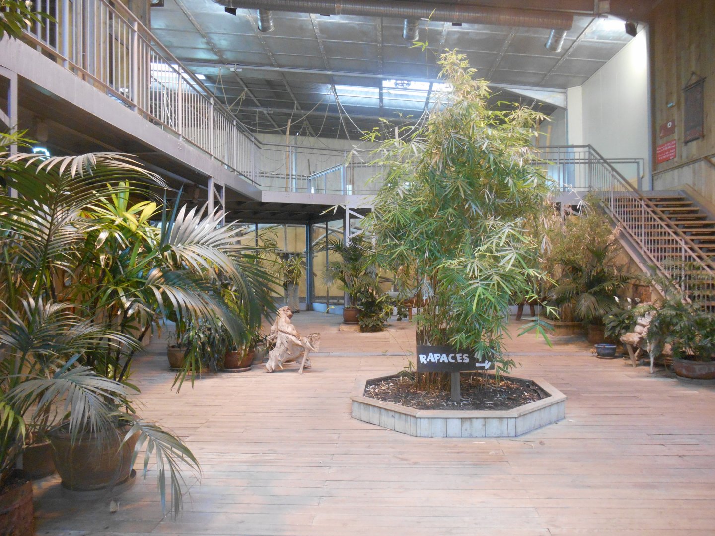 Orangutans House Hall