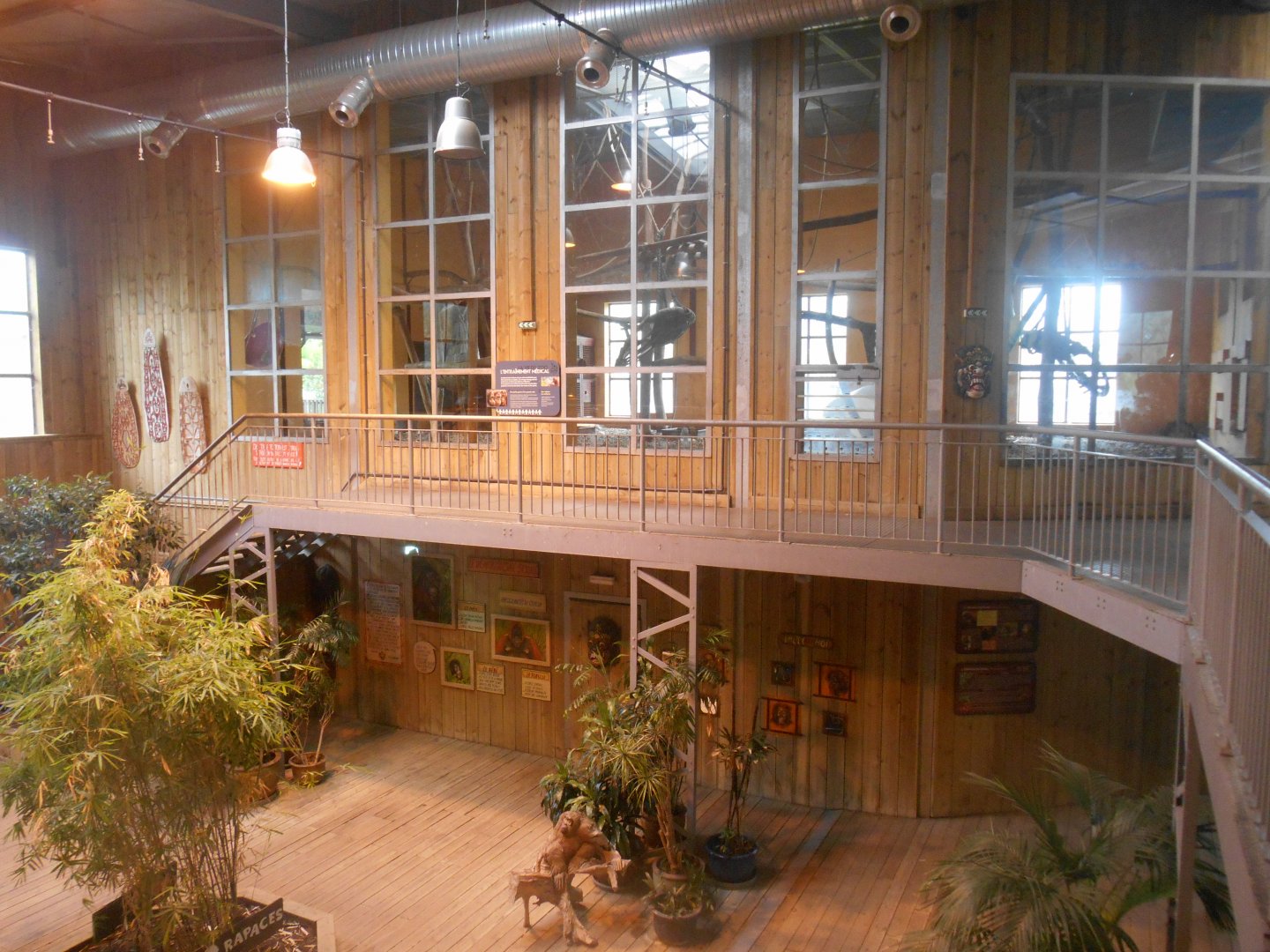 Orangutans House Hall