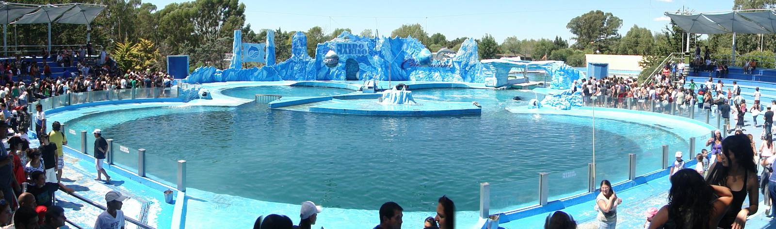 Orca and Dolphin Stadium