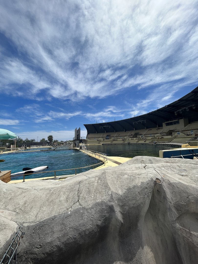 Orca complex overview