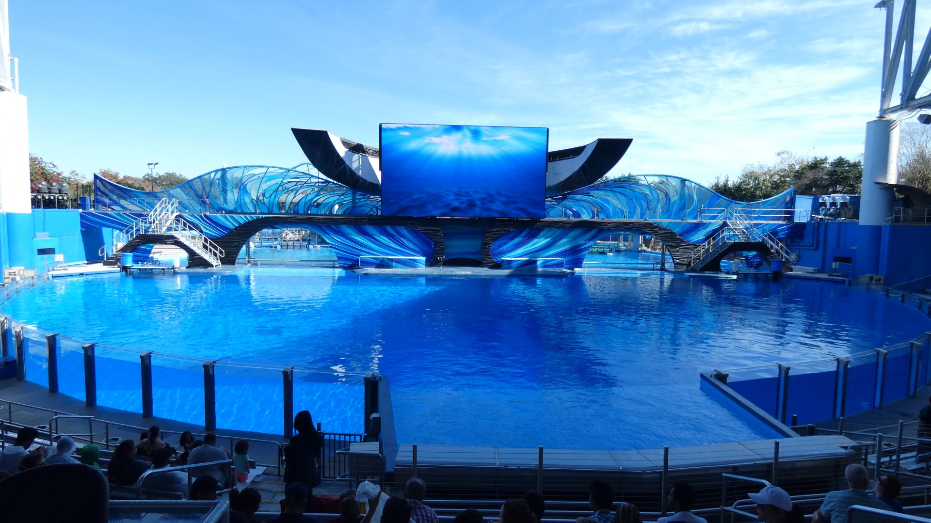 Orca Encounter - Jan. 2022