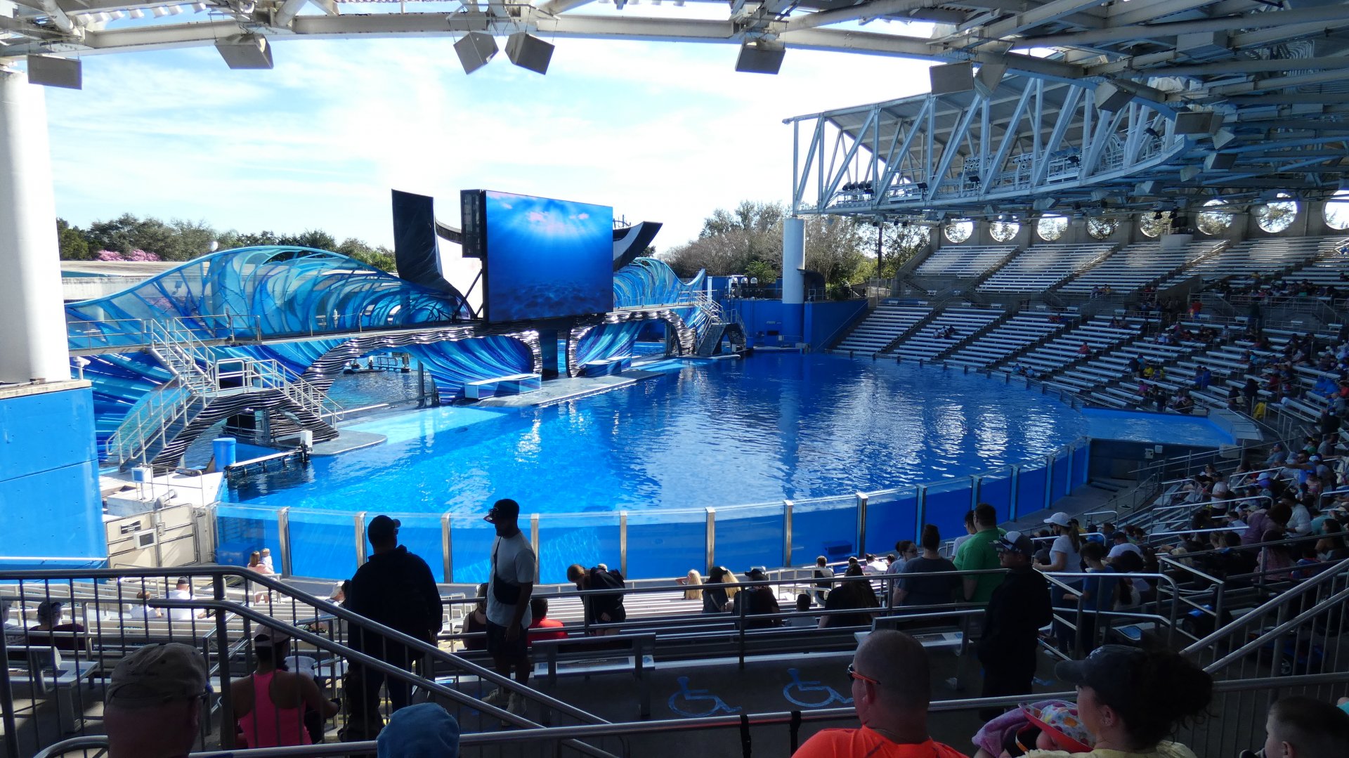 Orca Encounter - Jan. 2022