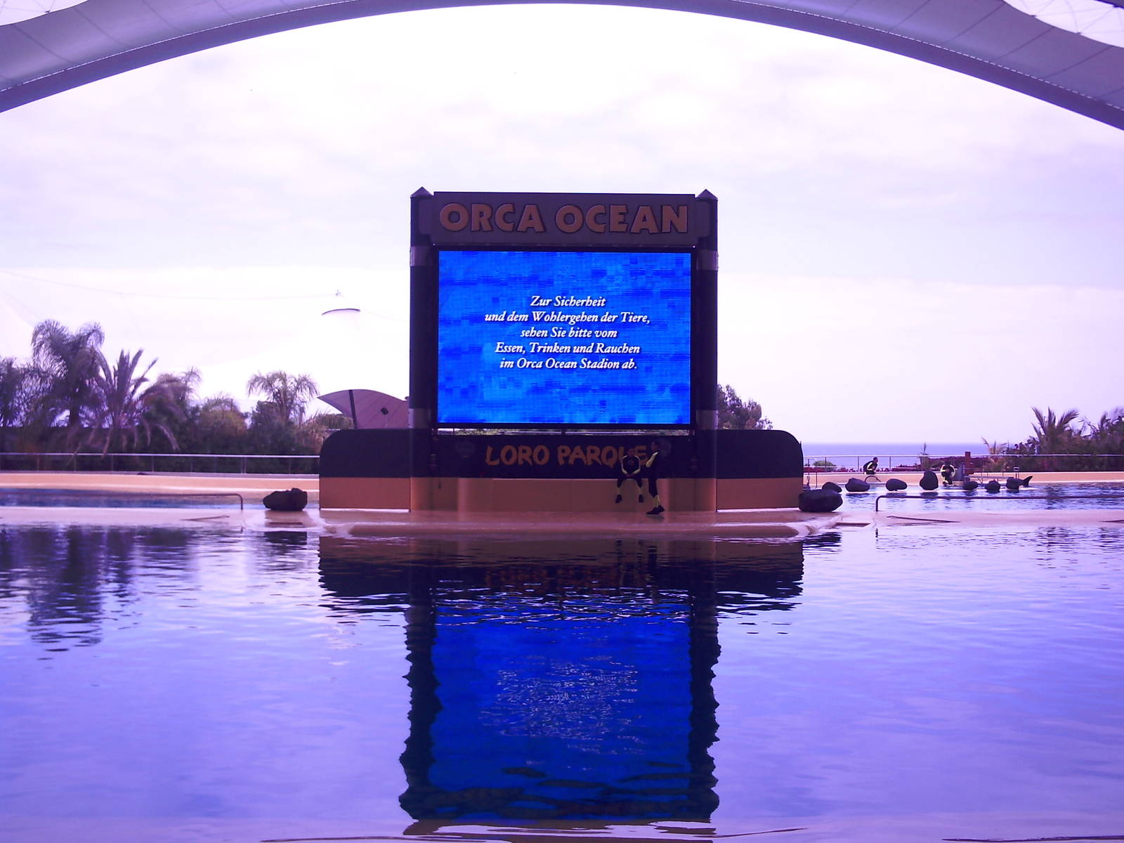 Orca Show - Loro Parque 2008