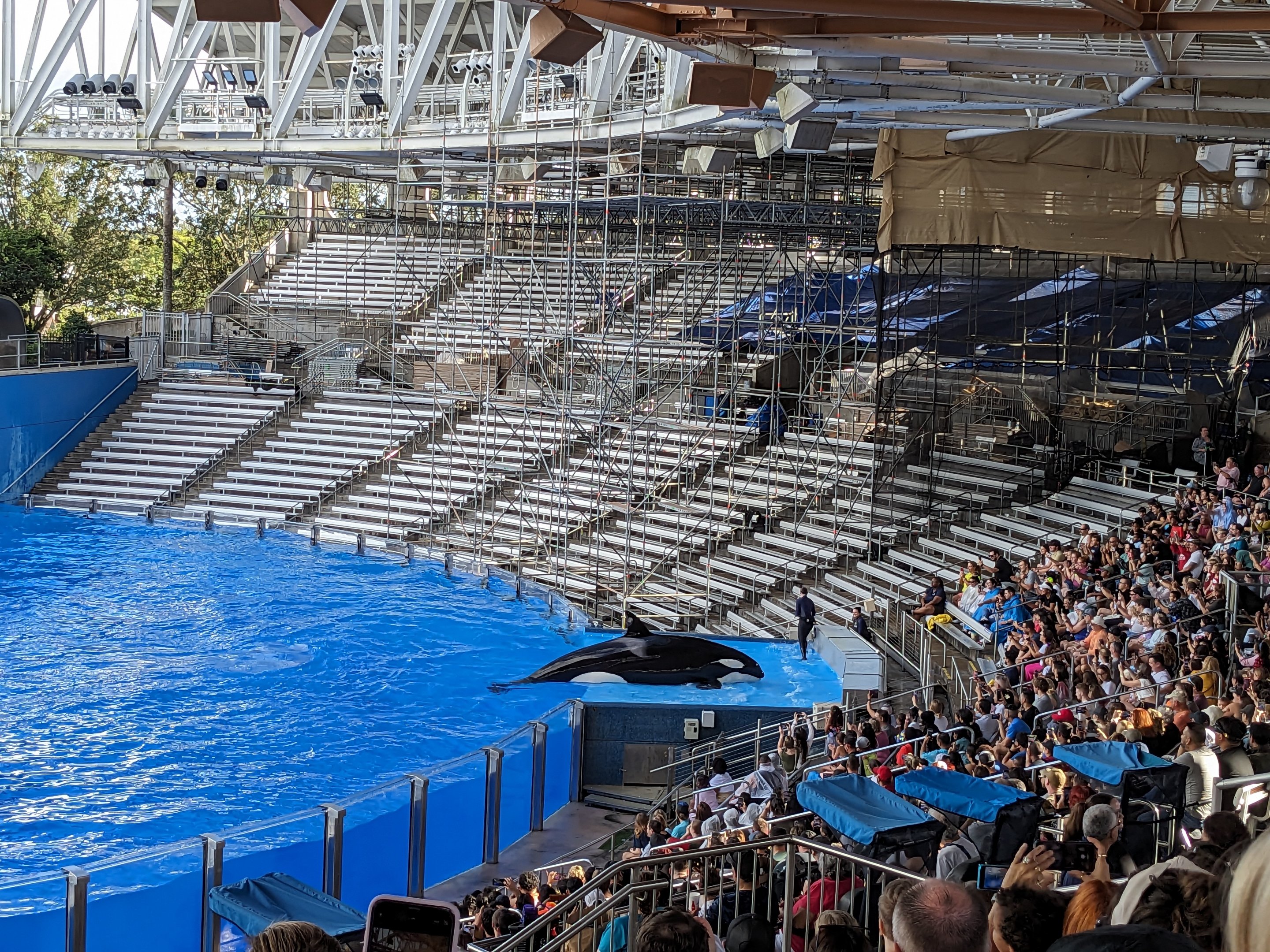 Orca - stadium under construction