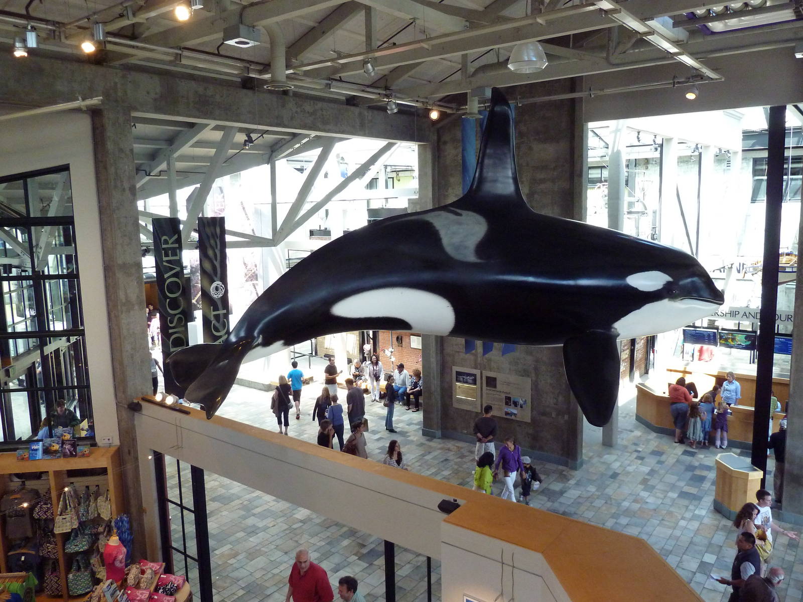 Orca Statue