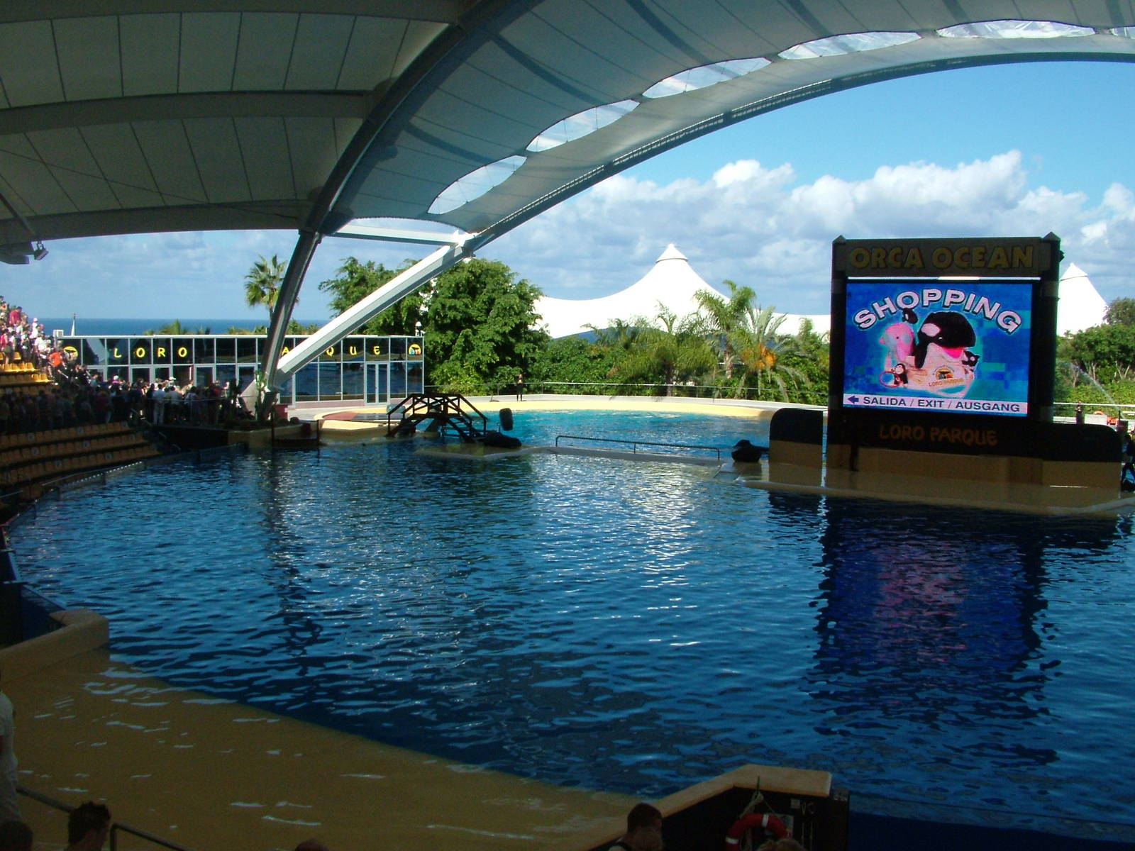OrcaOcean Stadium at Loro Parque, 08/11/10