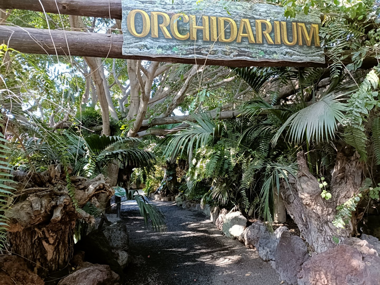 Orchidarium