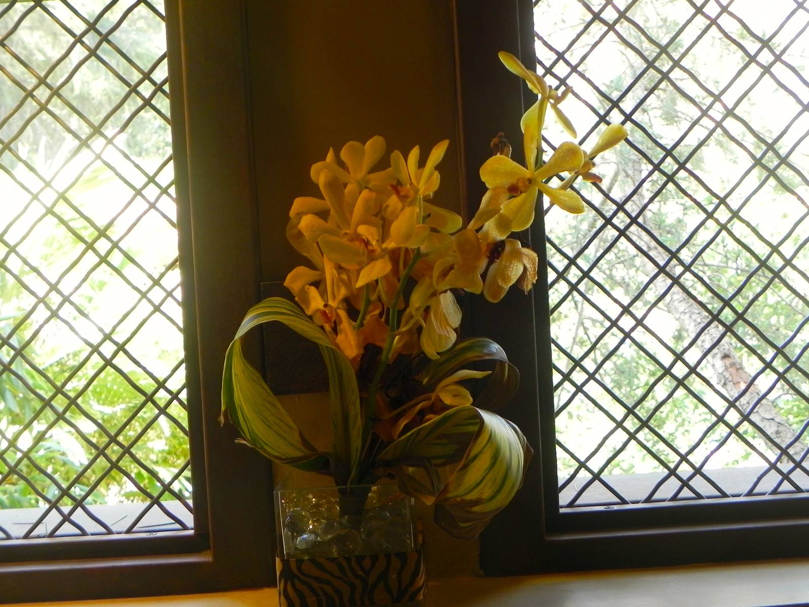 Orchids in the Ladies room Tiger Trail