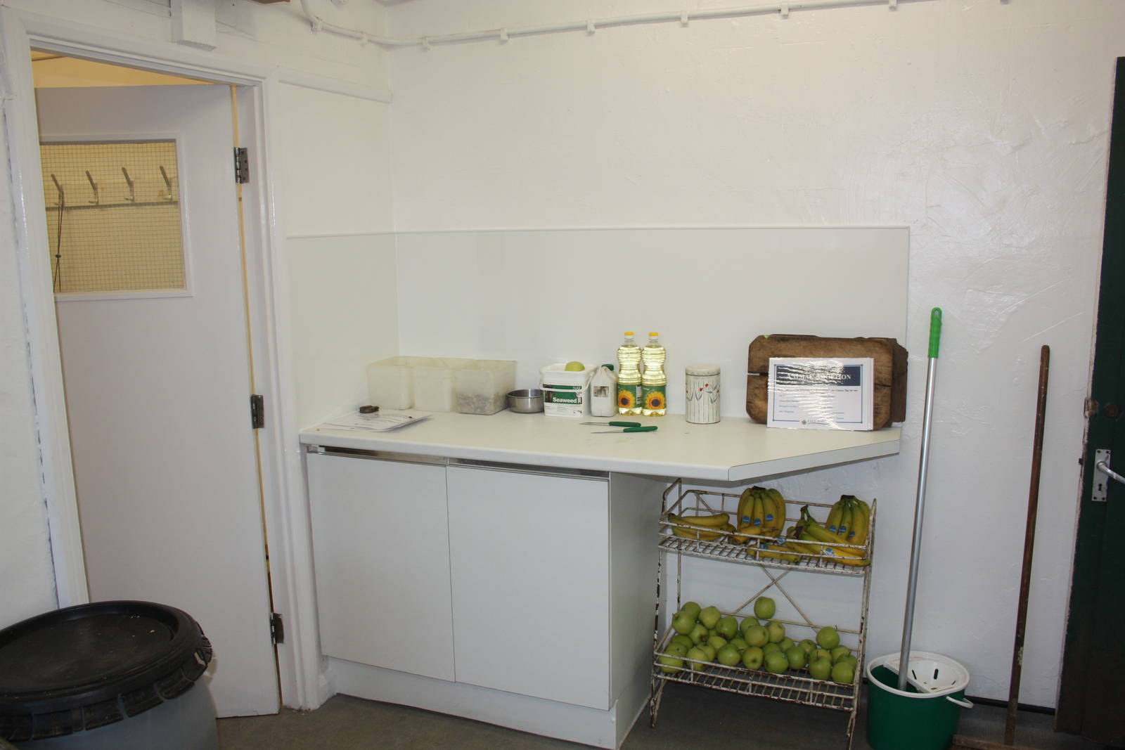 Order restored in the redecorated kitchen, 26th September 2014