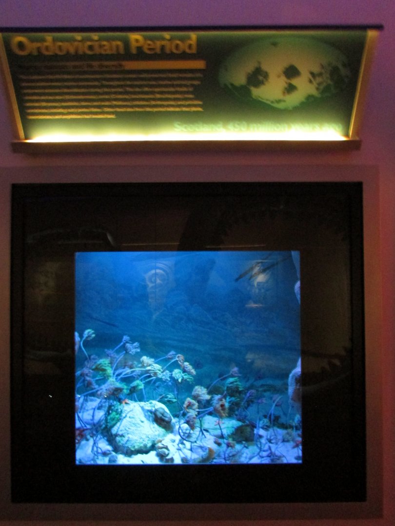 Ordovician Period Diorama