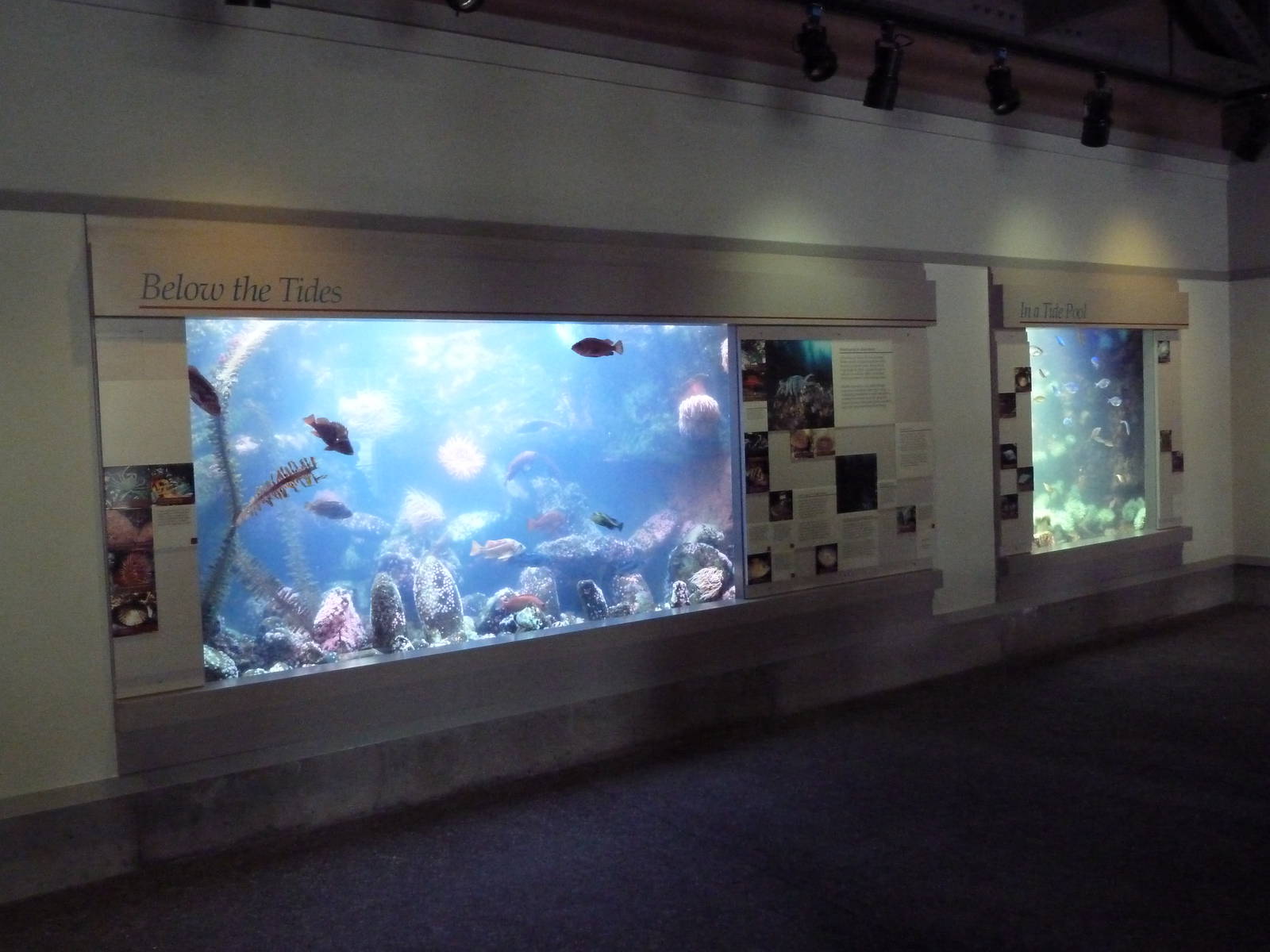 Oregon Coast Exhibits