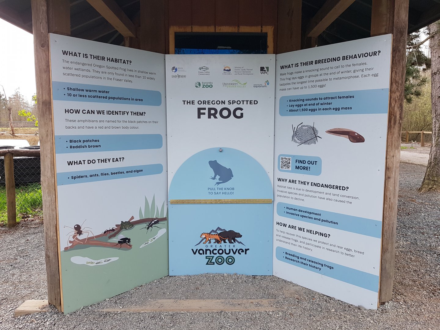 Oregon Spotted Frog Signage