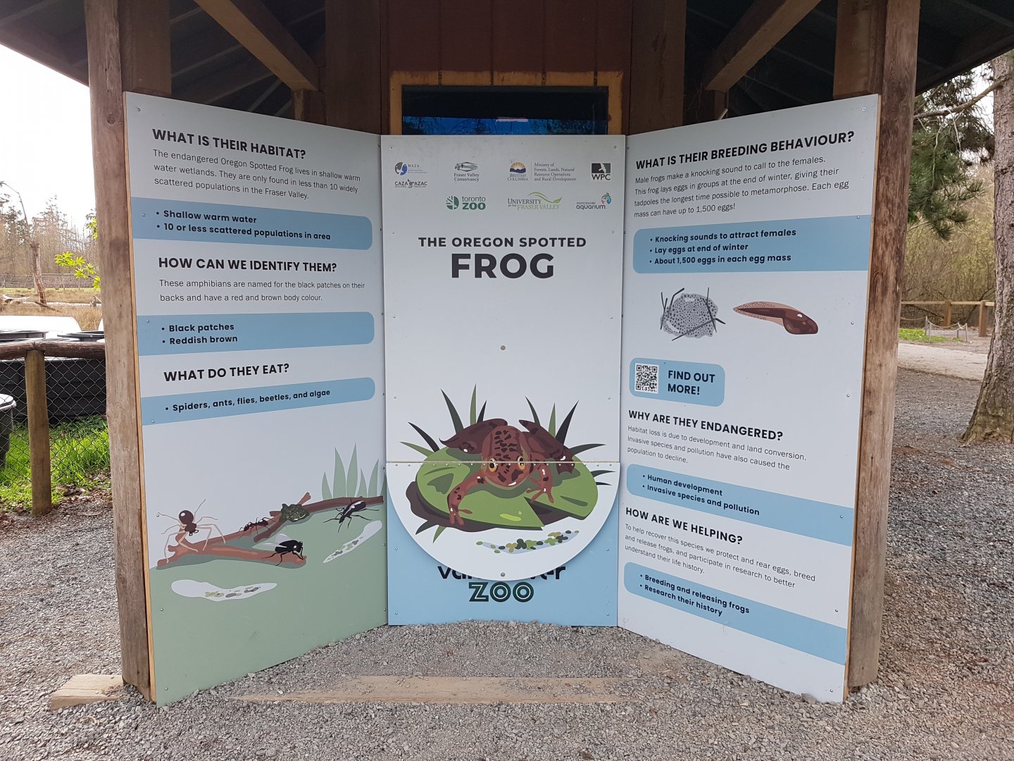 Oregon Spotted Frog Signage