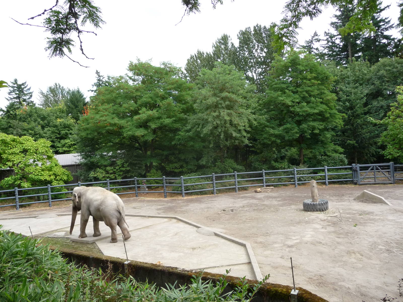 Oregon Zoo - Asian Elephant Exhibit